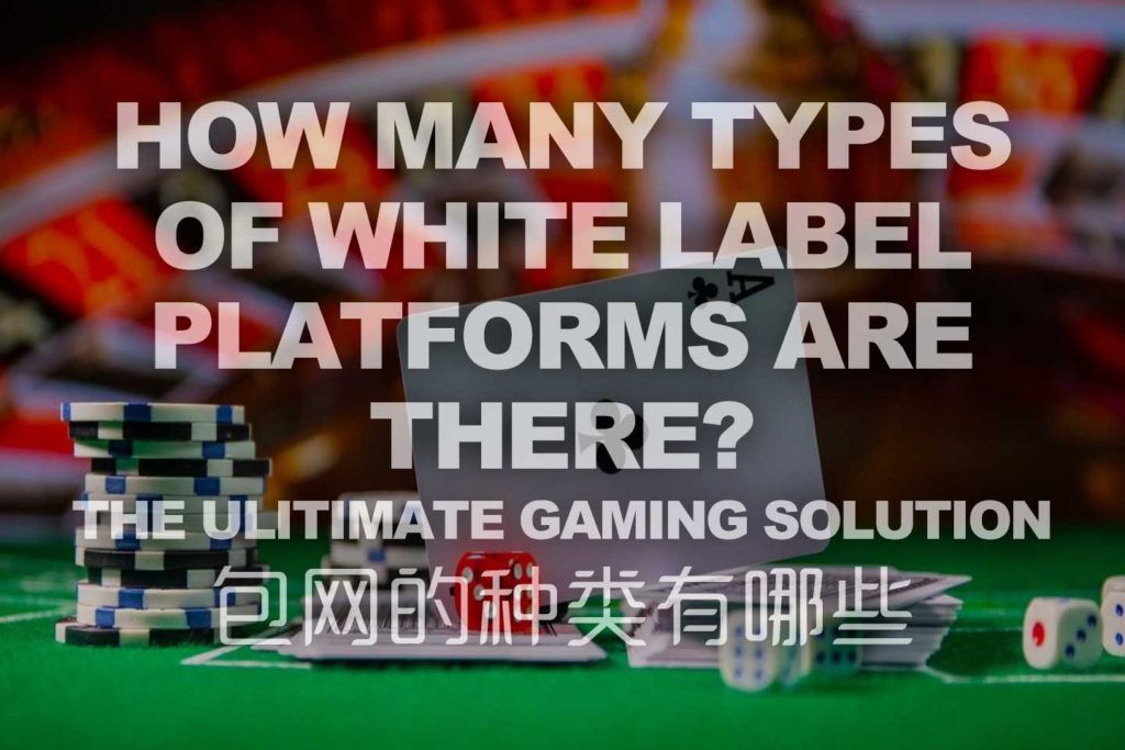 What are the types of white label iGaming?