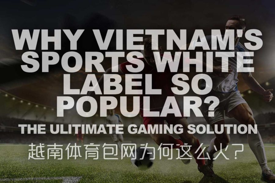 越南体育包网为何这么火？