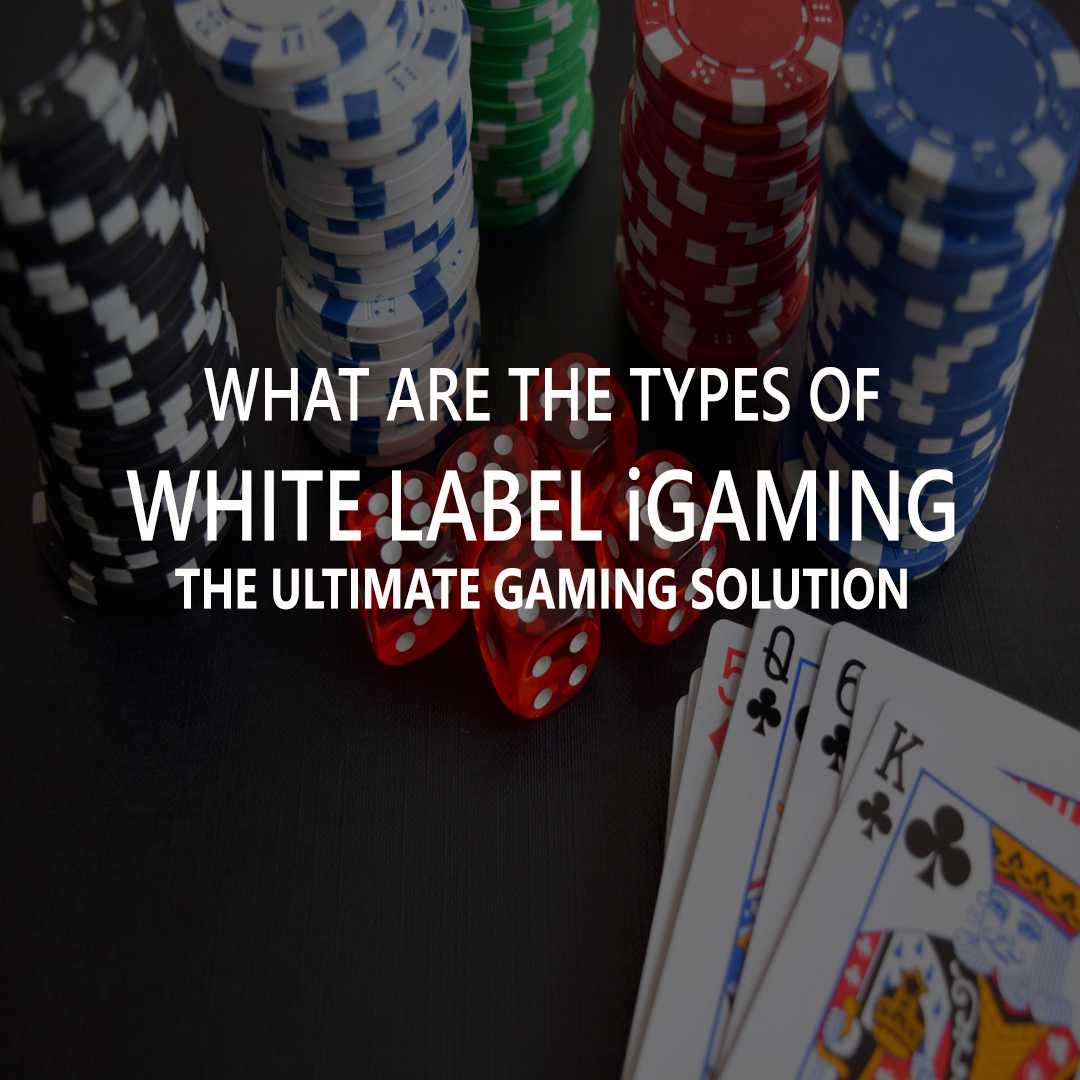 What Are The Types Of White Label iGaming?