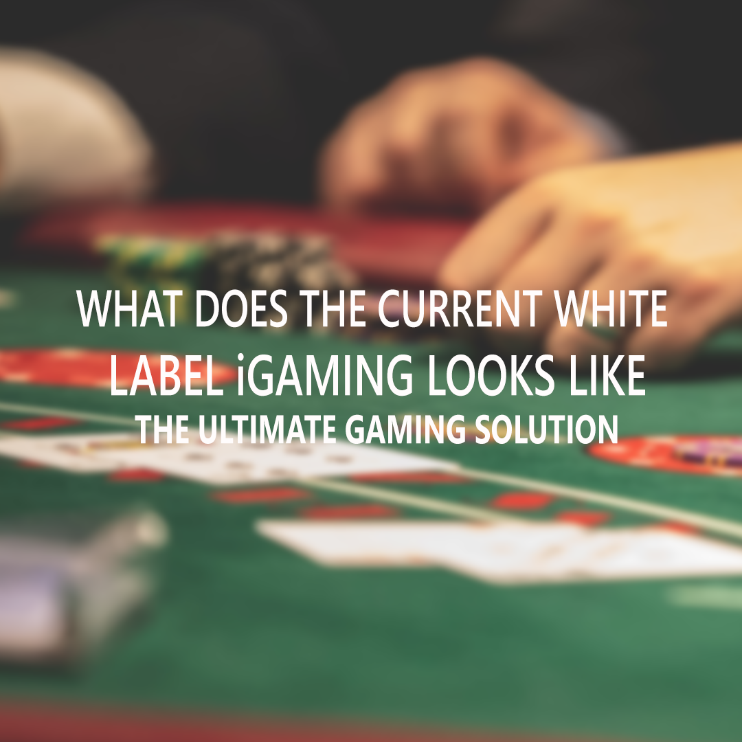 What Does The Current White Label iGaming Looks Like?