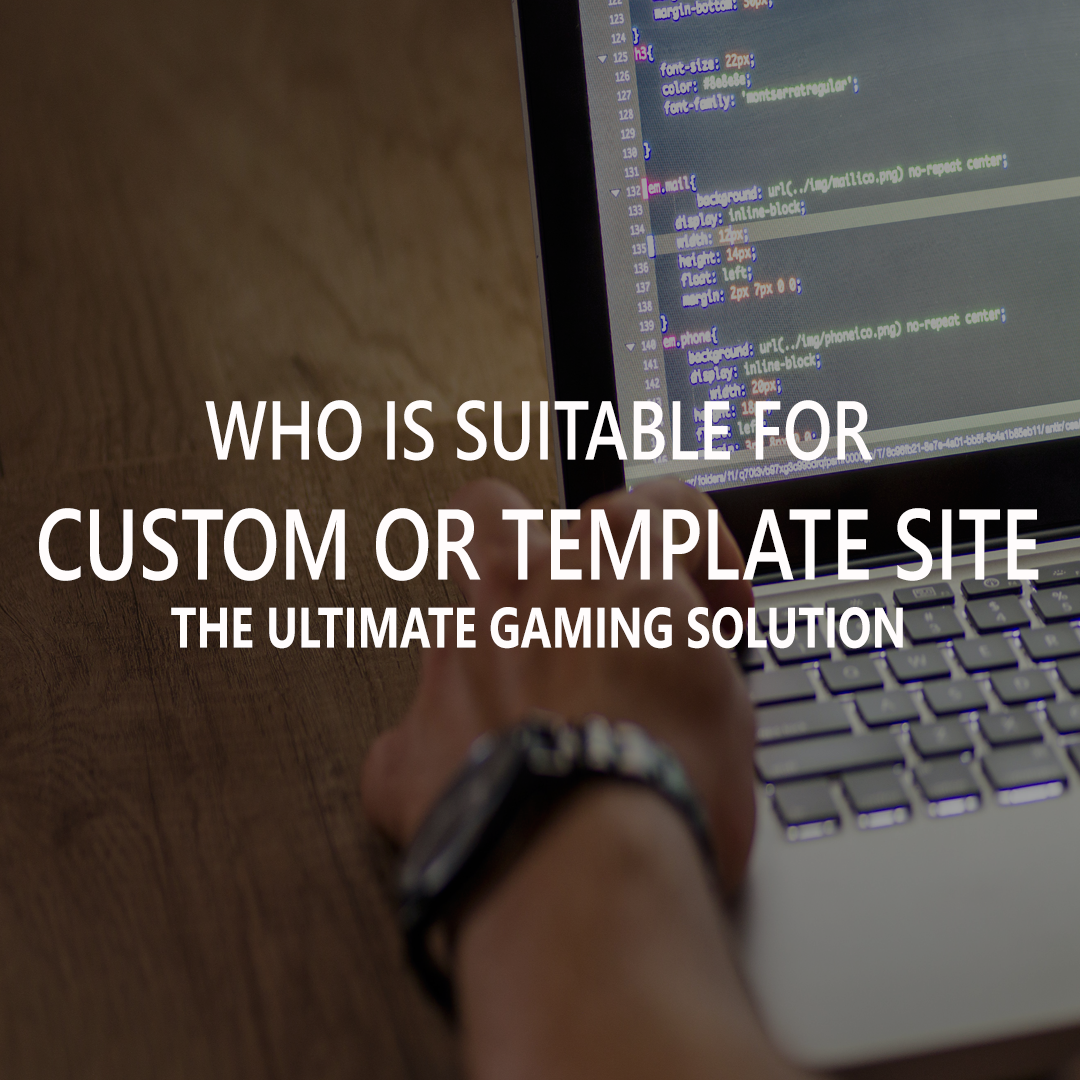 Who Is Suitable For Custom or Template Site